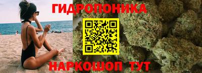 прущие крисы Гагарин