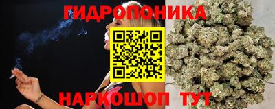 прущие крисы Гагарин