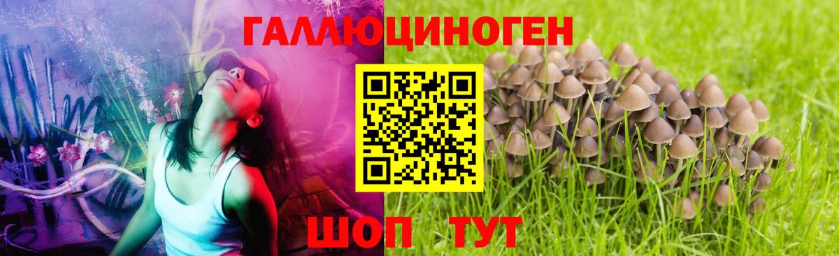 Галлюциногенные грибы прущие грибы Гусев