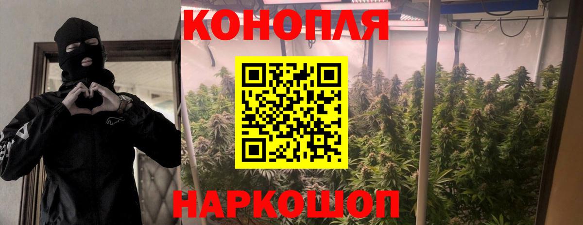 Марихуана OG Kush  Бошки марихуана LSD WEED  Каннабис планчик  Гусев 